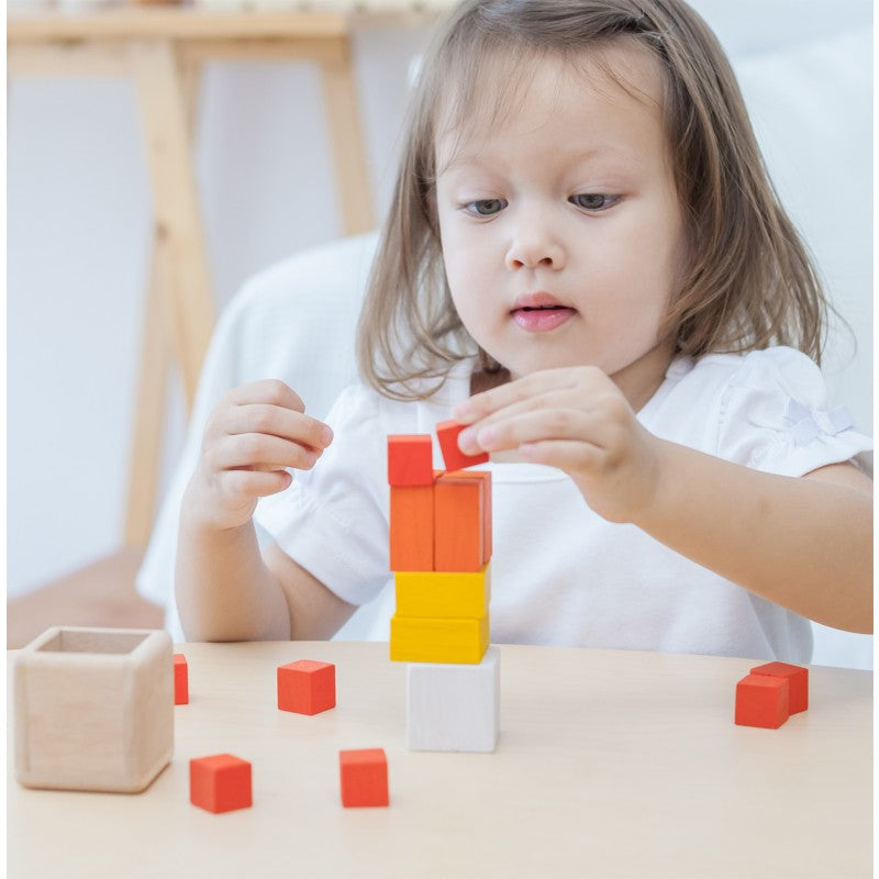 Plan Toys Fraction Cubes [Gently used] [#91]