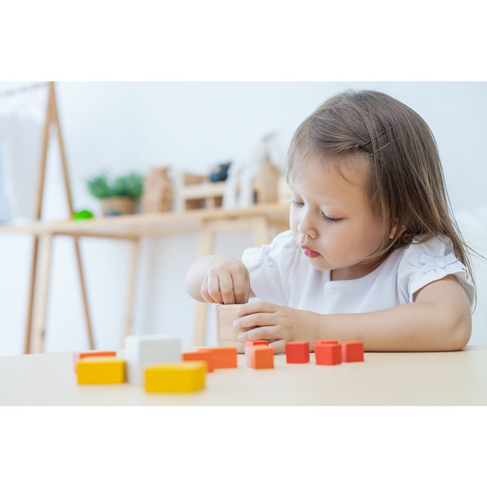 Plan Toys Fraction Cubes [Gently used] [#91]